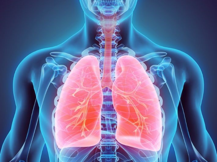 Respiratory System Profile (3)